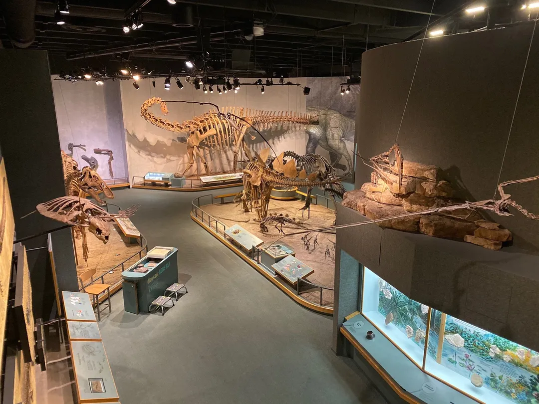 5_Denver Museum of Nature & Science