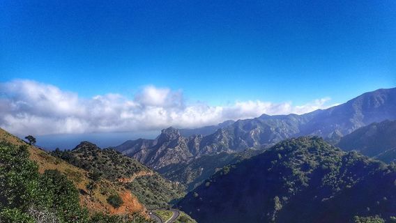 Garajonay National Park