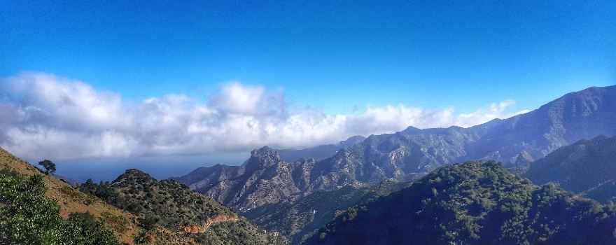 Garajonay National Park