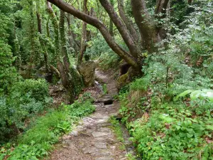 Centaurs' path