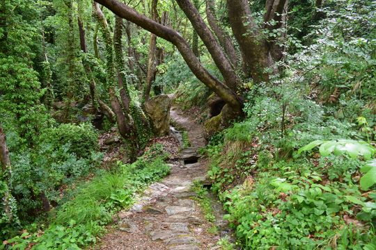 Centaurs' path