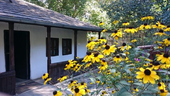 Ion Creangă Memorial House