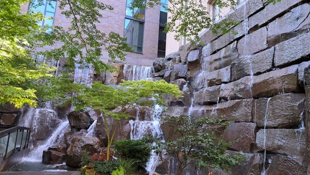 Waterfall Garden