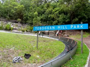 Toboggan Hill Park
