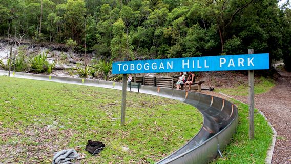 Toboggan Hill Park