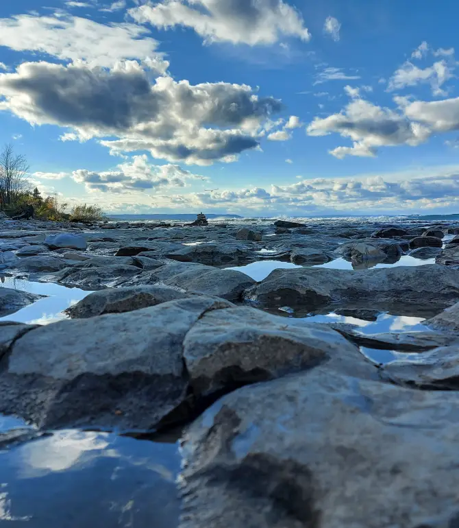 Collingwood