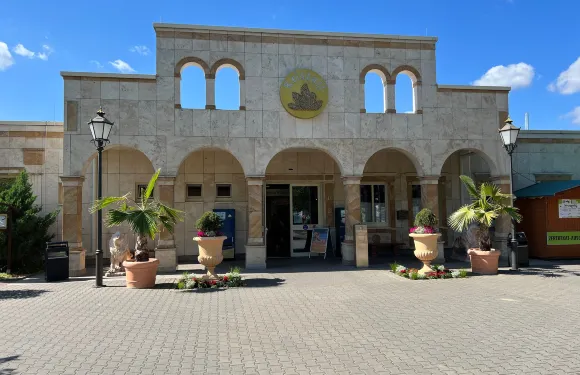 路德維希斯費爾德