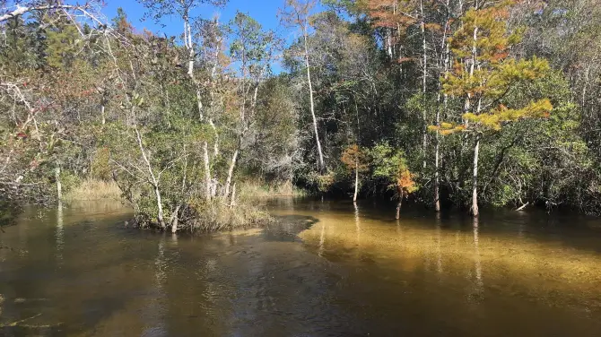 4_Turkey Creek Nature Trail