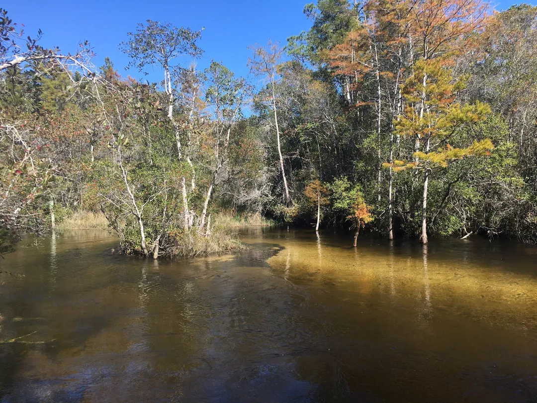 4_Turkey Creek Nature Trail