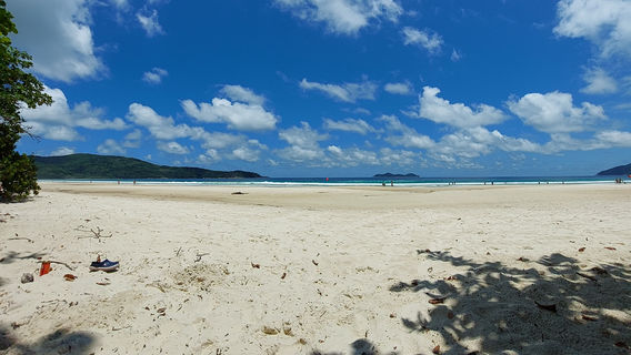 Lopes Mendes Beach