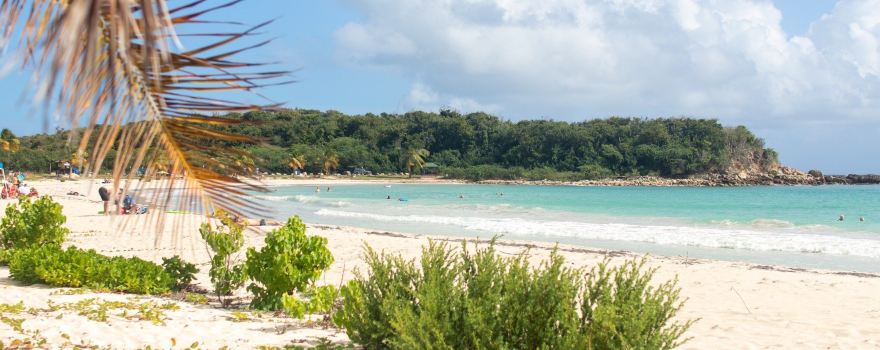 Caracas Beach