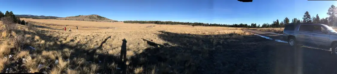 Hotels near Apache-Sitgreaves National Forest