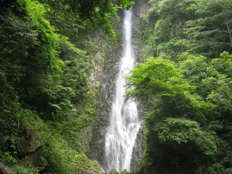 Fujieda