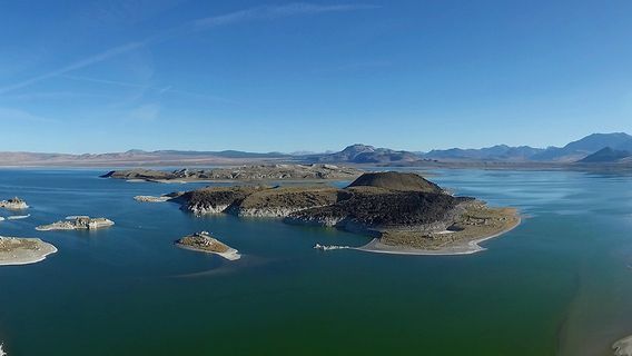 Inyo National Forest