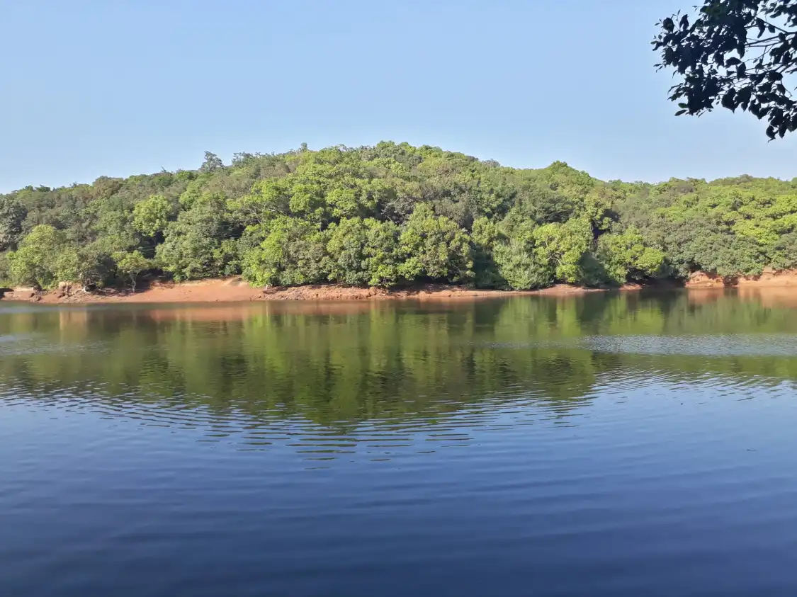Hotels near One Tree Hill Point