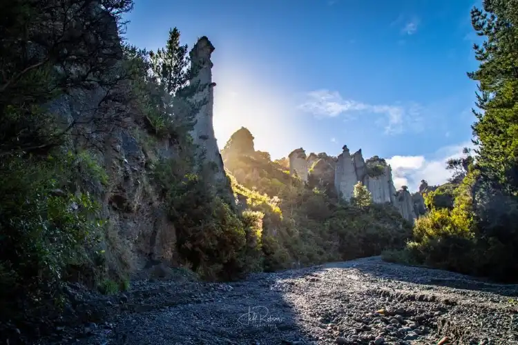 Hotel di Cape Palliser