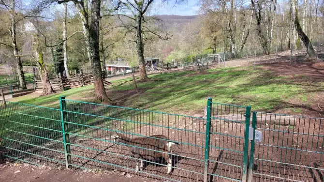 4_Neunkircher Zoologischer Garten