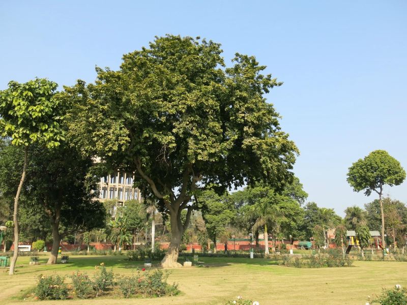Vol Patna Bathinda