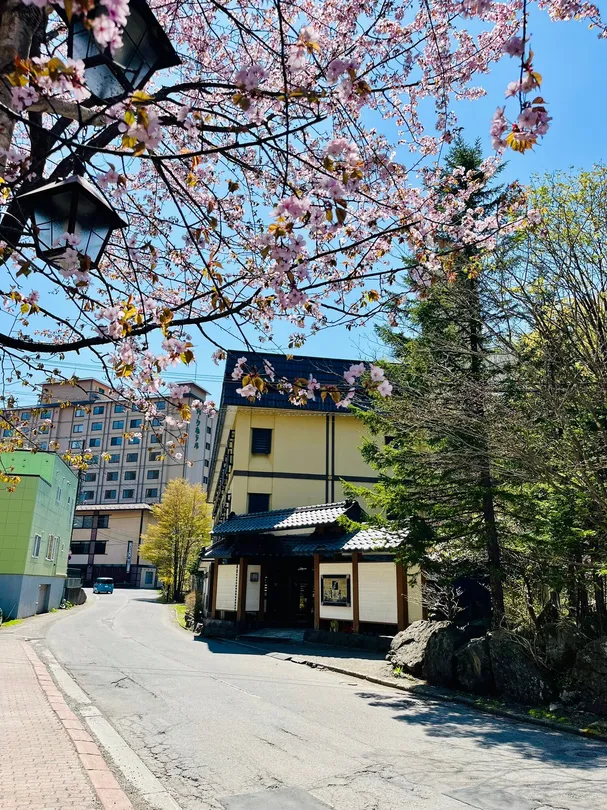 5_大湯沼川 天然足湯