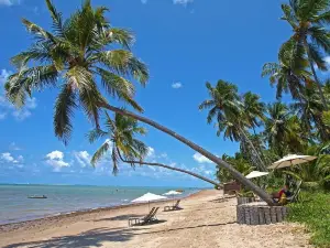 Beach Patacho