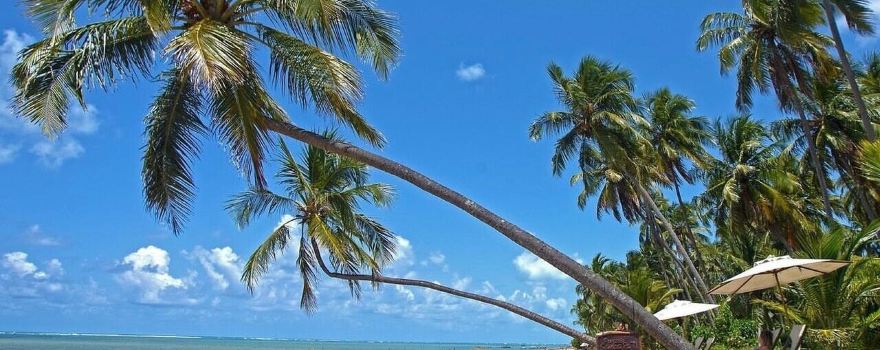Porto de Pedras