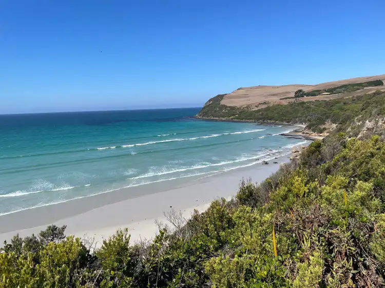 فنادق في Cape Bridgewater