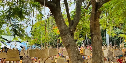 FEIMA - Feira de Artesanato, Flores e Gastronomica