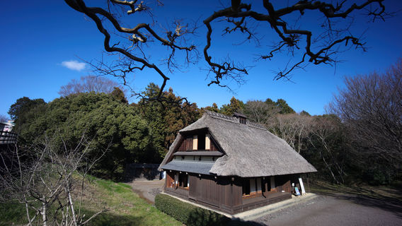 Fuji