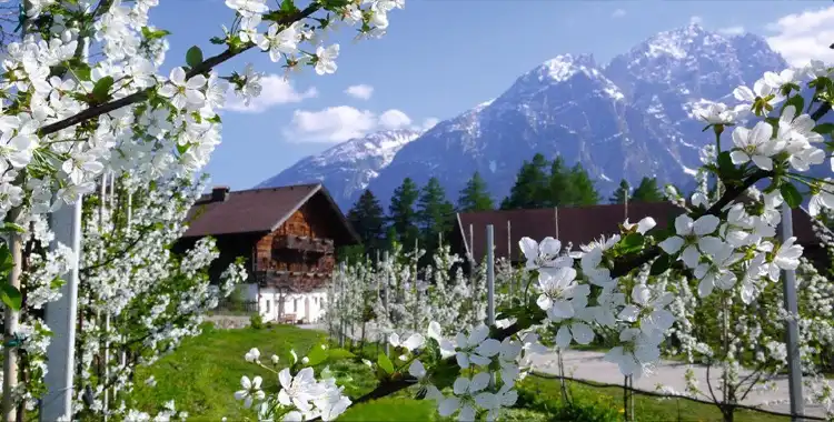 Hotels in Iselsberg-Stronach