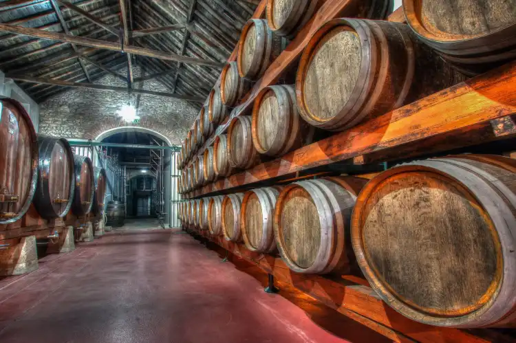 Hotels in Quinta Do Anjo