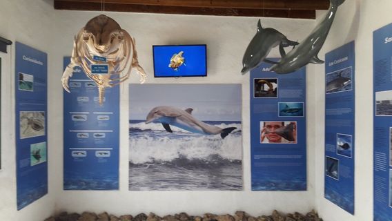 Museo Chinijo