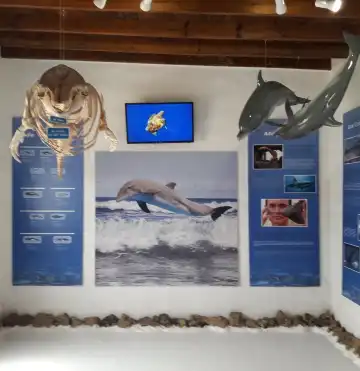 卡萊塔的瑟伯酒店