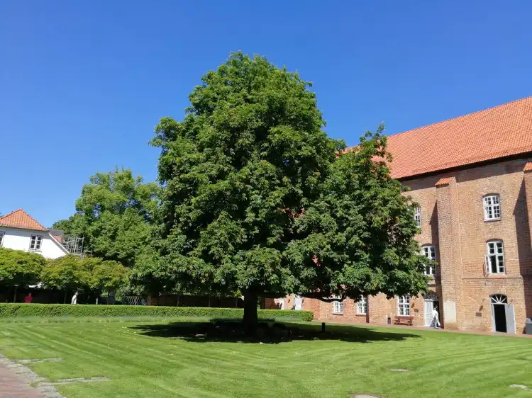 Hotels near St. Nicolai