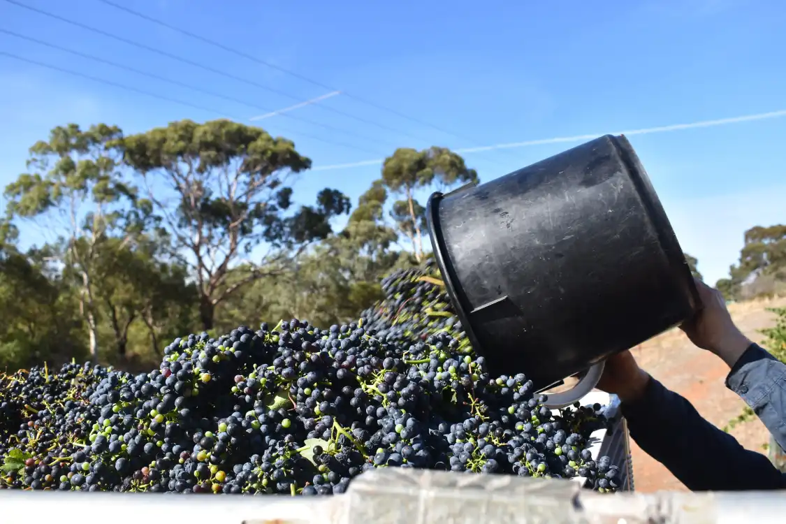 Hotels near Ballycroft Vineyard and Cellars