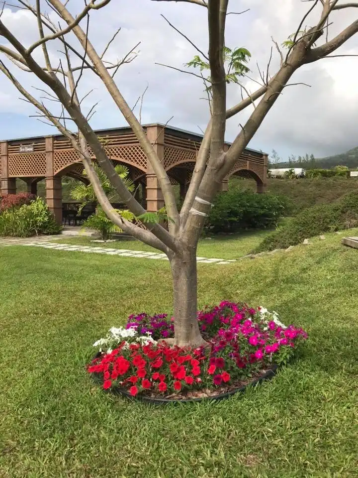 Hotels near St. Kitts Eco-Park