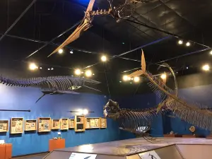 Royal Gorge Dinosaur Experience