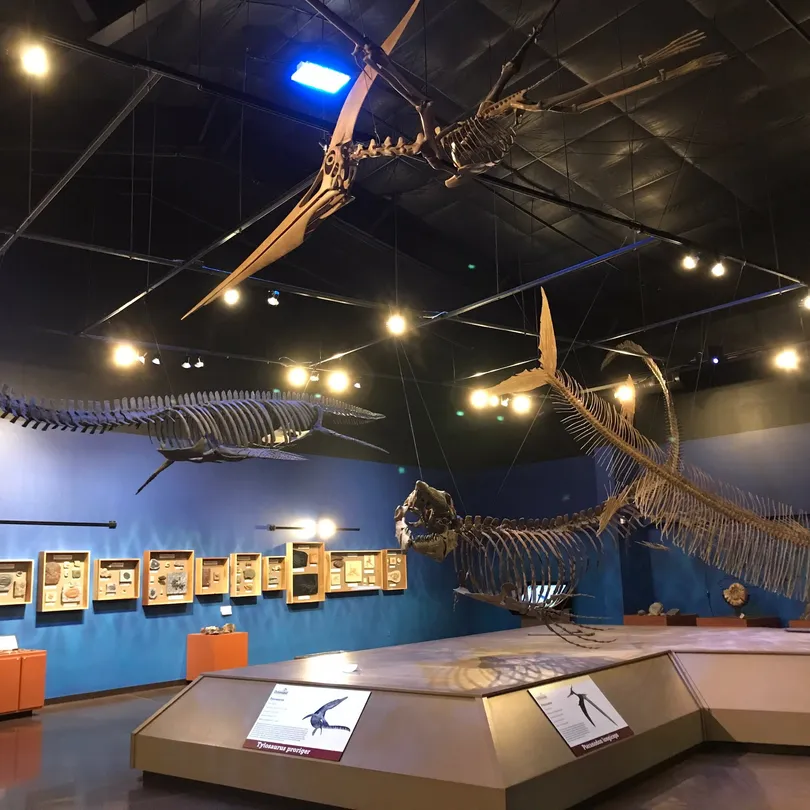 1_Royal Gorge Dinosaur Experience