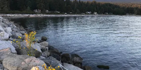 Roberts Creek Pier