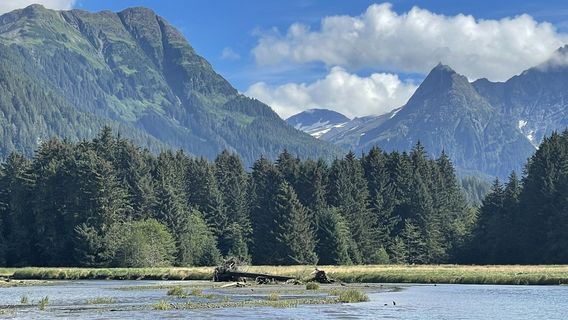 Sitka Fish