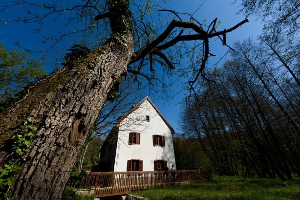 Mill Museum