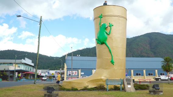 The Golden Gumboot