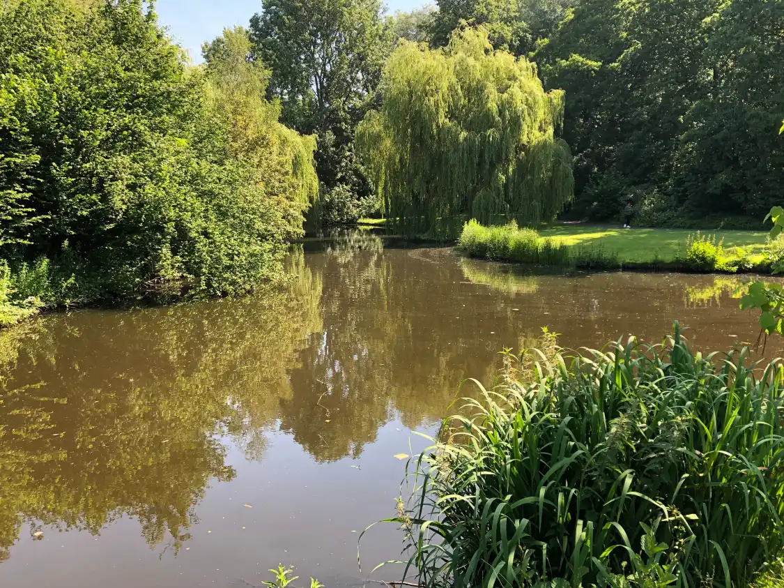 Hotels near Beatrixpark