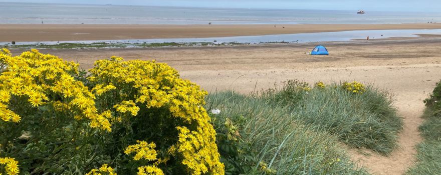 Marske By The Sea Beach