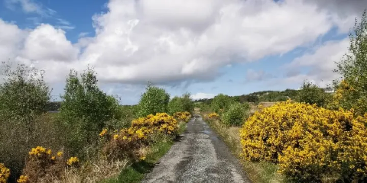 Clach Ard Symbol Stone