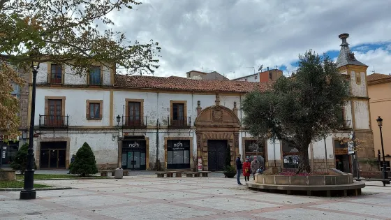 Palacio del Marques de Alcantara