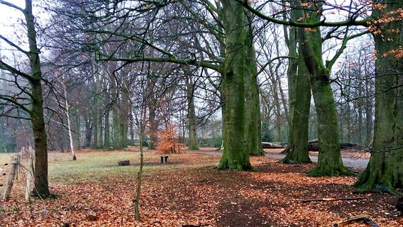 Amersfoort