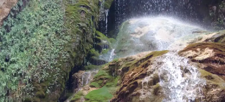 Bogarra