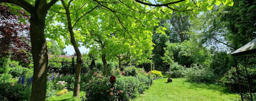 Romantic Garden