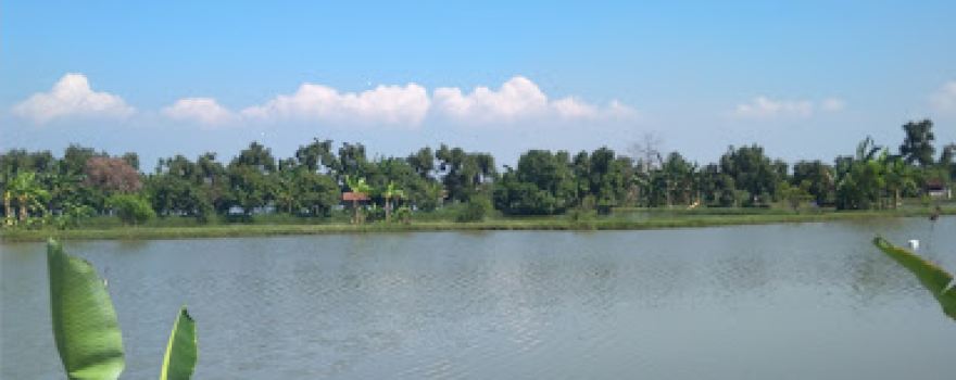 Desa. Babak Bawo Kec Dukun