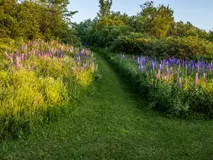 Arndt's Aroostook River Lodge